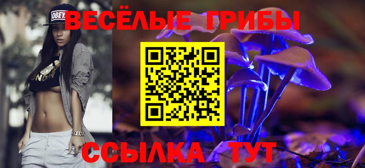 Галлюциногенные грибы Psilocybe  Вход с VPN  Верхняя Пышма 