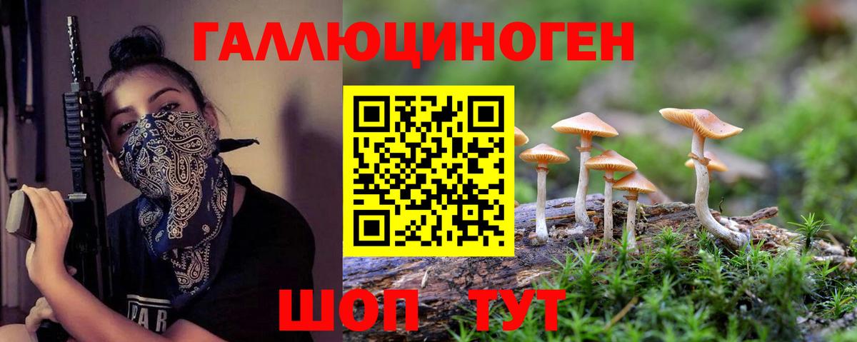 Псилоцибиновые грибы мухоморы Верхняя Пышма